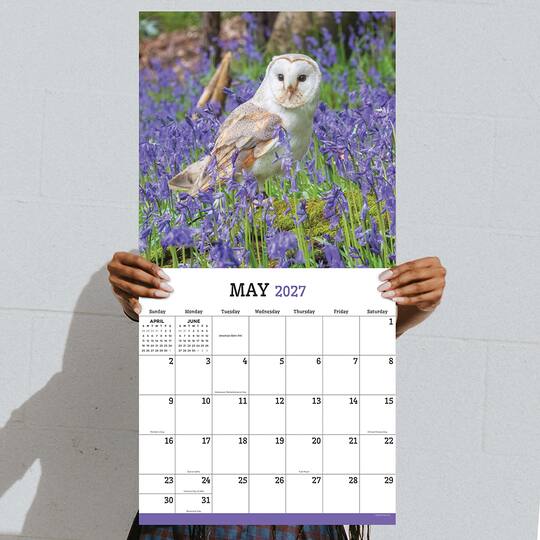 2027 Owls Wall Calendar